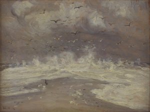 Vagues sur la côte nord du Jutland