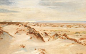 Dunes, Skagen.