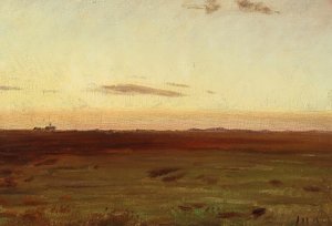 Vue de la prairie et des dunes au soleil du soir.