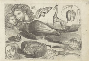 Feuille d