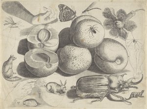 Feuille d