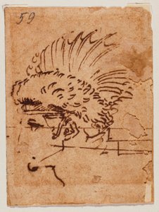 Tête crêtée - Michelangelo Buonarroti