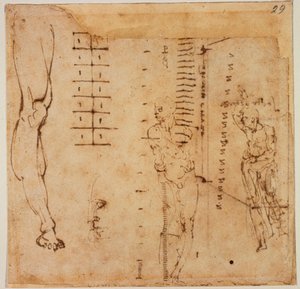 Études de figures