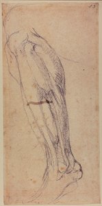 Étude de jambe