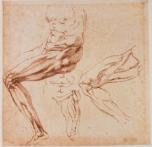 Études de jambes