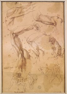 Ms H 184 fol.202 Études de bras levés, un chat sauvage et un groupe de figures