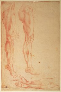 Études de jambes et de bras
