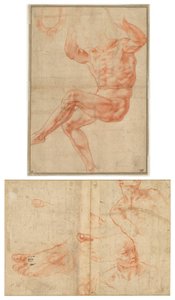 Étude pour le jeune homme nu au-dessus du prophète Daniel (recto); Études de figures pour le plafond de la chapelle Sixtine (verso) - Michelangelo Buonarroti