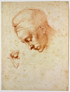 Étude pour la tête de Léda, vers 1530