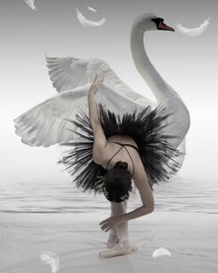La ballerine du Cygne noir