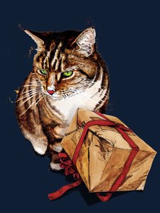 Chat Anniversaire sur Bleu Minuit, 2020