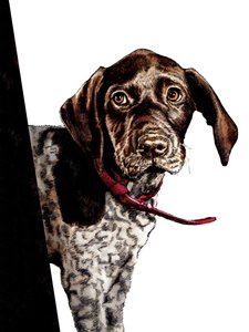 Au Revoir Chiot sur Blanc, 2020 - Mike Davis