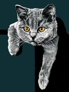 Flora Le Chaton sur Cyan Profond