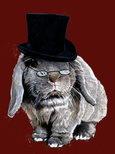Lapin humbug sur fond rouge oxyde, 2020