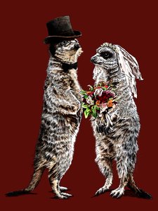 Suricates mariés sur fond rouge oxyde, 2020 - Mike Davis