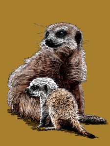 Nouveau bébé suricates sur jaune doré, 2020 - Mike Davis