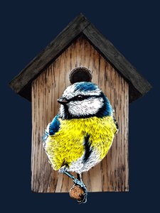 Nouvelle maison mésange bleue sur bleu nuit, 2020