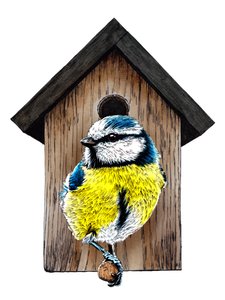 Nouvelle maison mésange bleue sur blanc, 2020