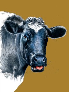 La Vache sur jaune doré, 2021