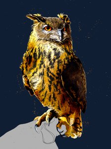Le Hibou Grand-Duc sur Bleu Nuit - Mike Davis