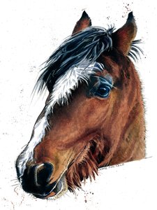 Le cheval sur blanc, 2020