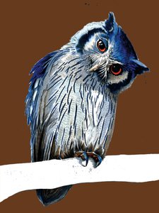 Le Hibou à Face Blanche du Nord sur Orange Brûlé, 2020 - Mike Davis