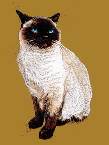 Le chat siamois sur fond jaune doré, 2020 - Mike Davis