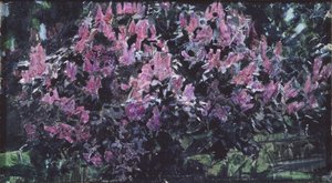 Lilas