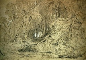 Clairière dans un bois - Miles Edmund Cotman
