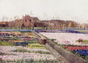 "Quand le printemps libère les fleurs pour peindre le sol riant"