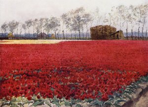 "Dont les feuilles avec leur éclat cramoisi cachent le cœur qui brûle et noircit en dessous" - Mima Nixon
