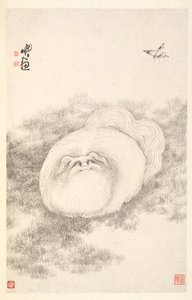 Chat et papillon, 1788 - Min Zhen