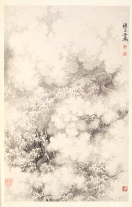 Dragon parmi les nuages