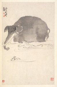 Éléphant, cheval et lièvre