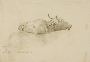 Buffalo, golfe de Nicomédie - Miner Kilbourne Kellogg