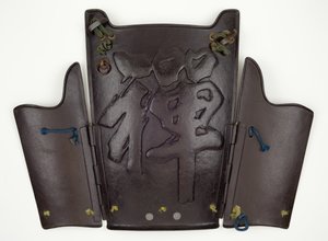 Plastron et deux plaques latérales d