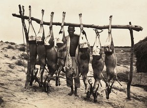 Construire un empire à l