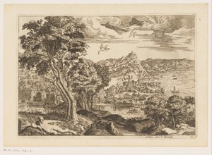 Paysage côtier avec oiseaux en vol