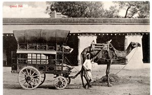 Camel Dak, c.1911-12