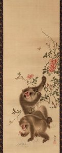 Singes et roses
