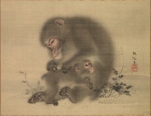 Singes