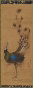Paon - Mori Sosen