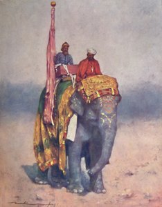 Un éléphant des déserts sablonneux du Rajputana
