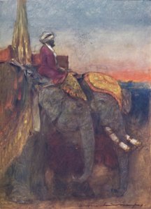 Éléphants de Jaipur, 1903