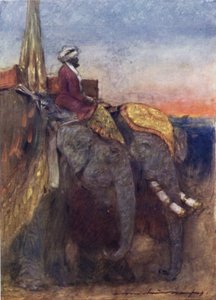 Éléphants de Jaipur - Mortimer Ludington Menpes