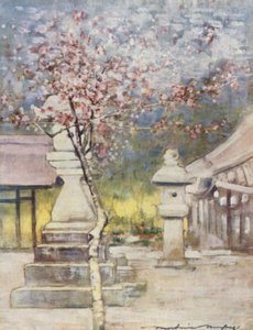 Fleur de Pêcher