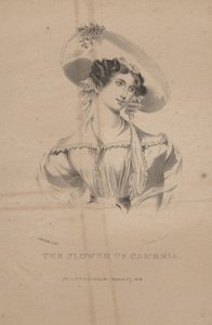 La fleur de Cambria, lithographie par C.G. Childs, 1830 - Moses Swett