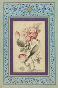 Roses et rossignol, fin du XVIIIe siècle