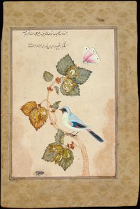 Un oiseau sur une branche de noisetier