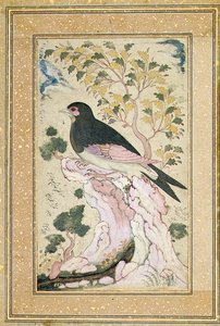 Oiseau perché sur un rocher, 1684 - Muin Musavvir